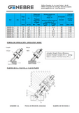 Slanted seat valve with spring return actuator Ref:5060N